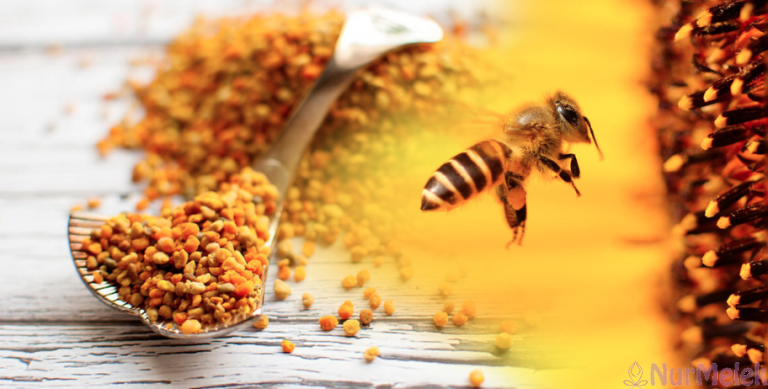 Propolis nedir En Önemli Faydaları ve Kullanım Şekli Nedir